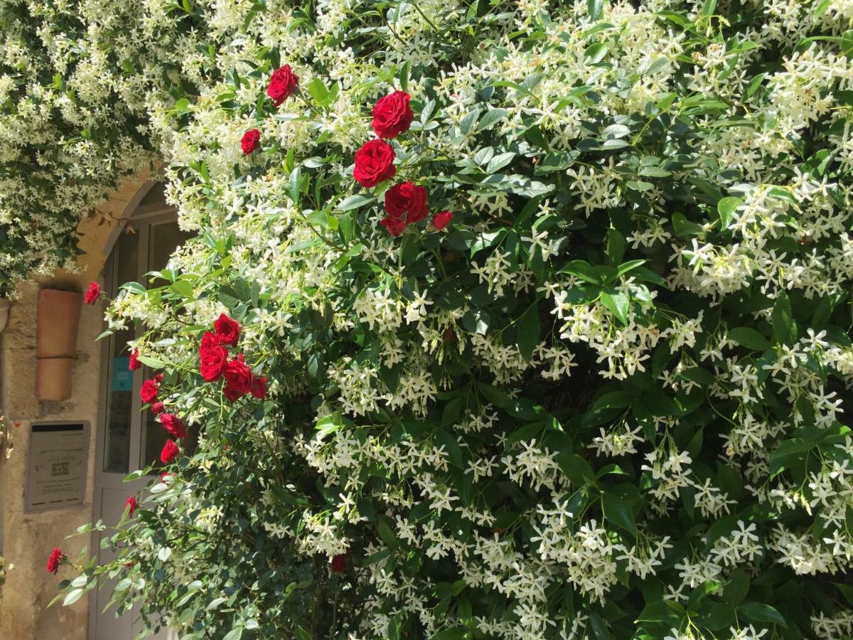 La Cordiere Ξενοδοχείο Lourmarin Εξωτερικό φωτογραφία